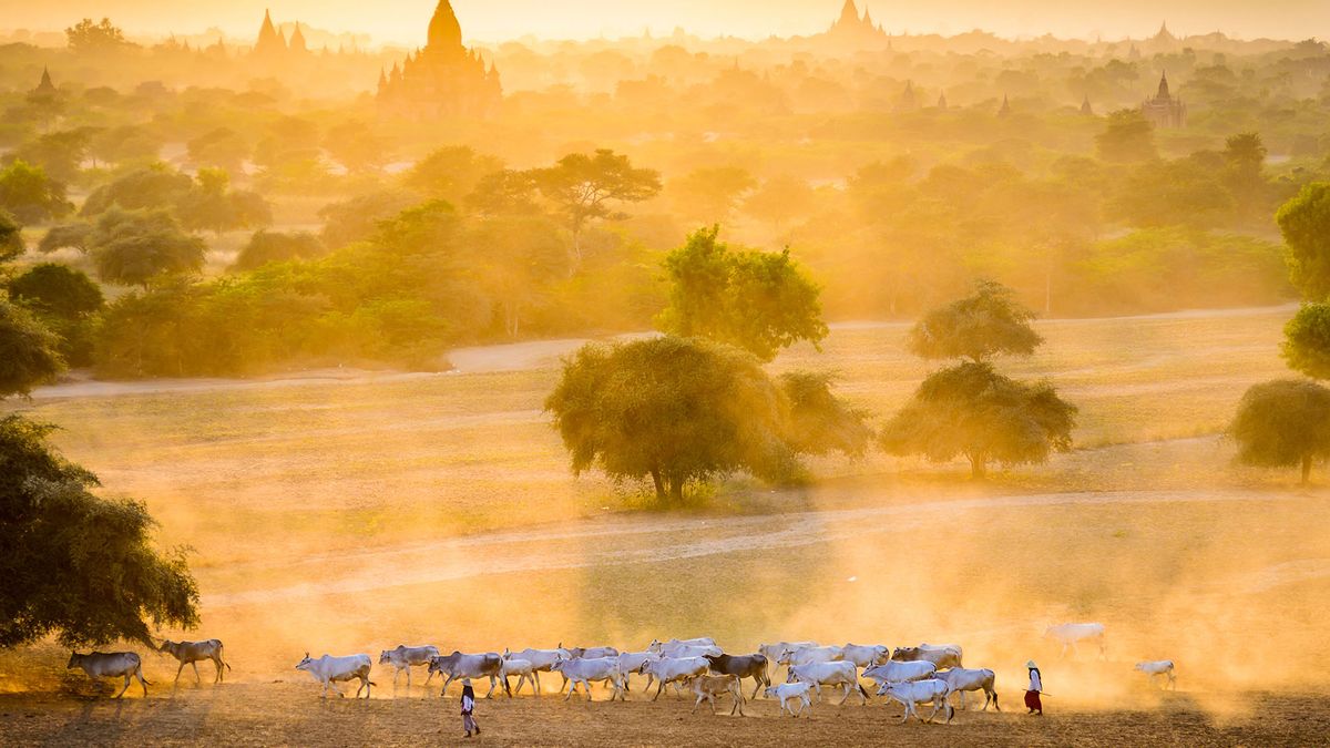 Zay Yar Lin: od kapitana statku do nagradzanego fotografa 1