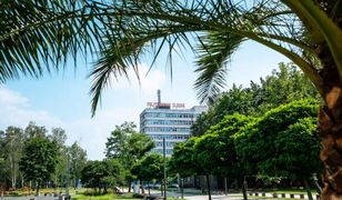 Gliwice. Politechnika Śląska w z nowymi kierunkami. W swojej ofercie ma prawdziwą perełkę