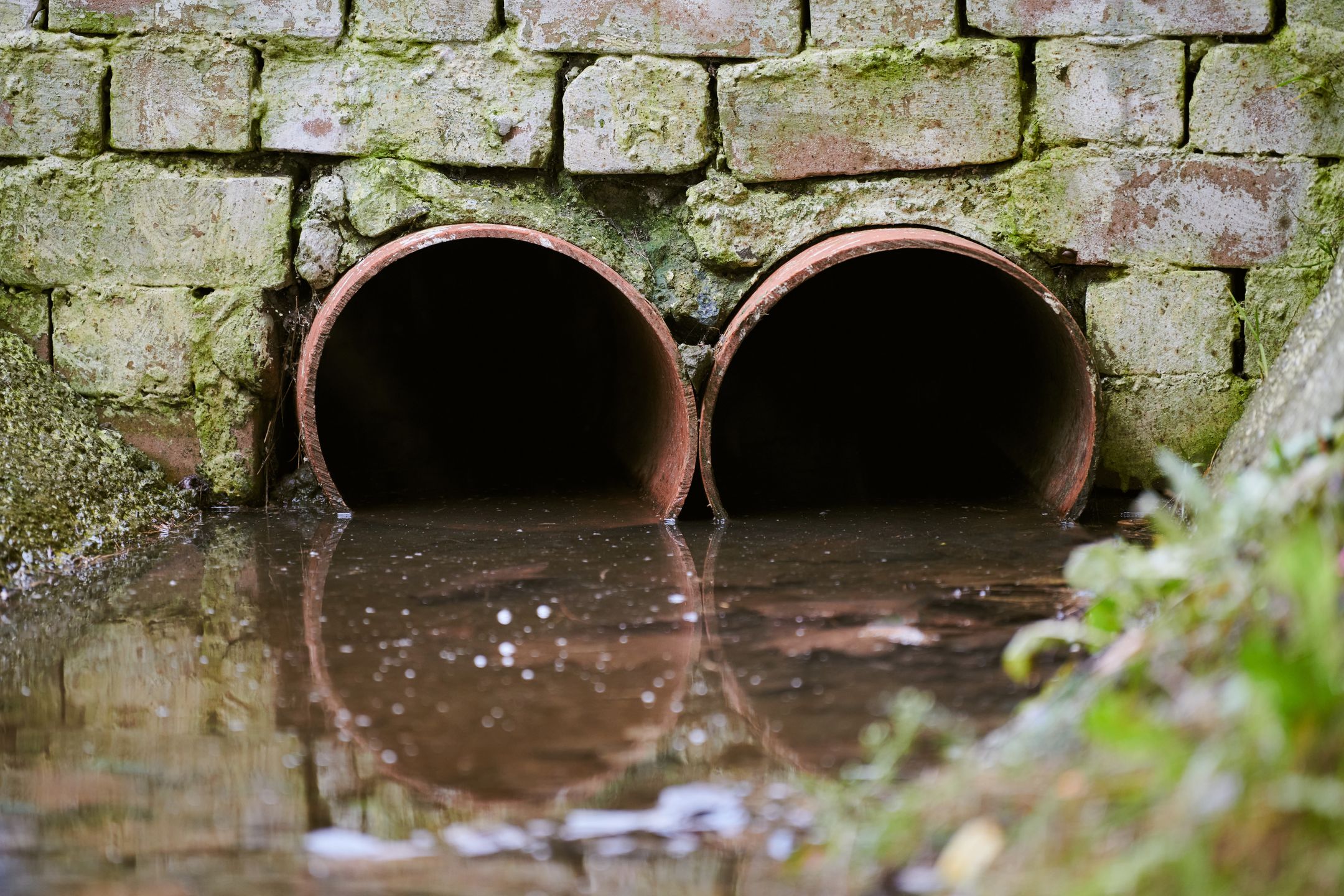 Sewers with toxic dirty water from metal pipes. Draining water from city sewer. Environmental pollution
TRAVELARIUM
sewers, dirty, pipes, water, toxic, pollution, environmental, pipe, drain, metal, industry, sewage, clean, river, construction, resources, stream, concrete, dump, garbage, nature, industrial, ground, brown, outfall, outlet, waste, chemical, factory, pipeline, refinery, substance, quality, city, drainage, flowing, farm, groundwater, pouring, falling, process, ditch, ecosystem, brick, old, rusty