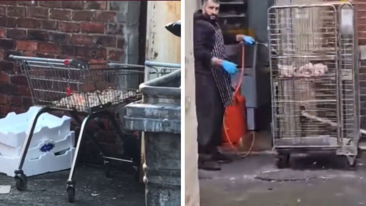 Mężczyzna nie mógł uwierzyć w to, co widzi