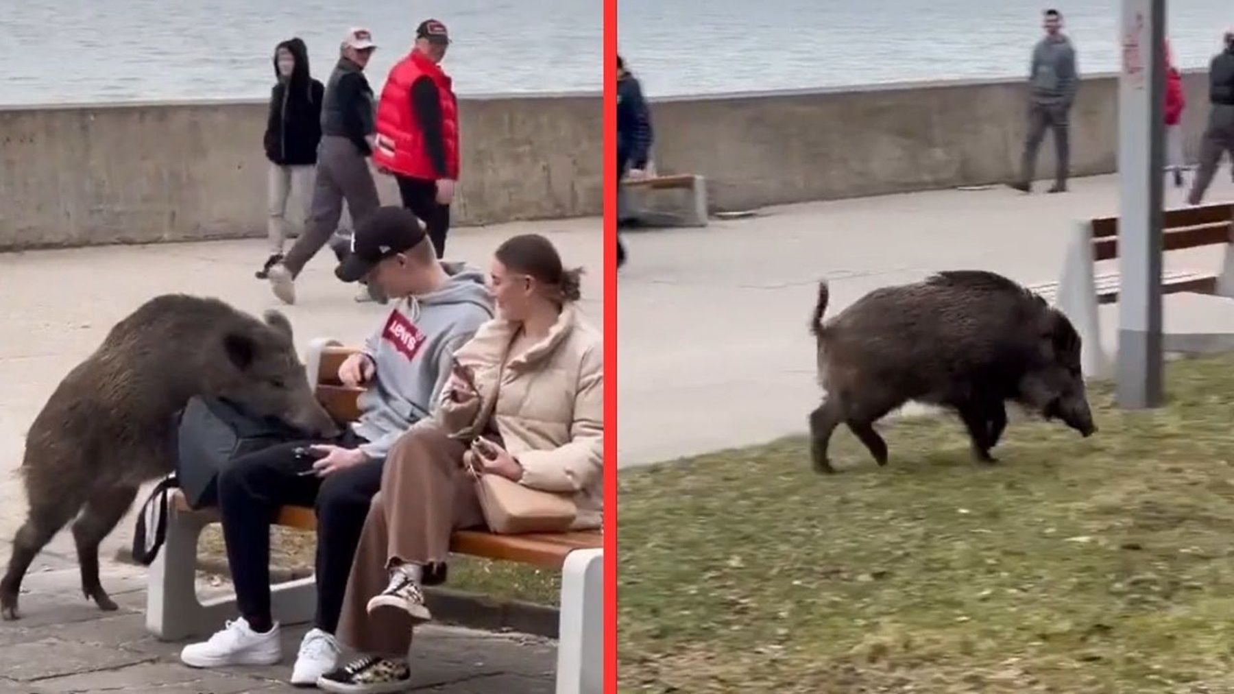 Nagranie z Gdyni hitem w sieci. Widziały je trzy miliony osób