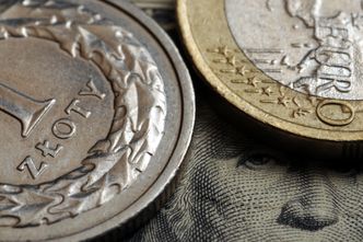 Kursy walut 3.02.2022. Czwartkowy kurs funta, euro, dolara i franka szwajcarskiego