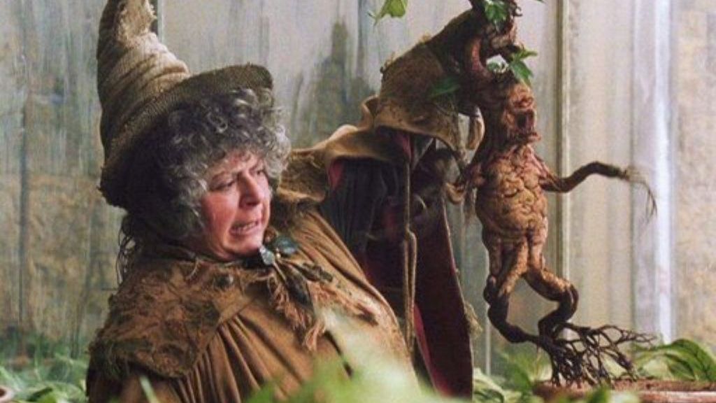 Miriam Margolyes jako profesor Sprout w serii "Harry Potter"