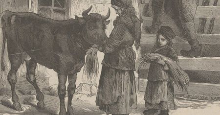 Ciężki los parobka na galicyjskiej wsi. Tak wyglądała codzienność człowieka pracującego dla bogatego chłopa