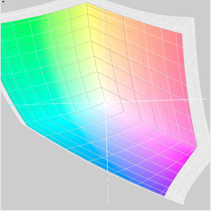 Gamut CS2420 widoczny jest w formie siatki. Wewnątrz - Adobe RGB.