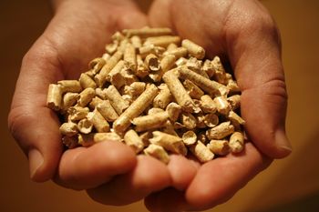 Drogi pellet zmusza Polaków do zakupów za granicą. Na to trzeba uważać