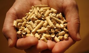 Drogi pellet zmusza Polaków do zakupów za granicą. Na to trzeba uważać