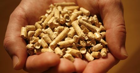 Drogi pellet zmusza Polaków do zakupów za granicą. Na to trzeba uważać