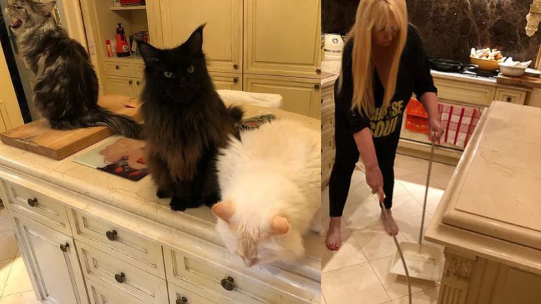 Tak mieszka Maryla Rodowicz