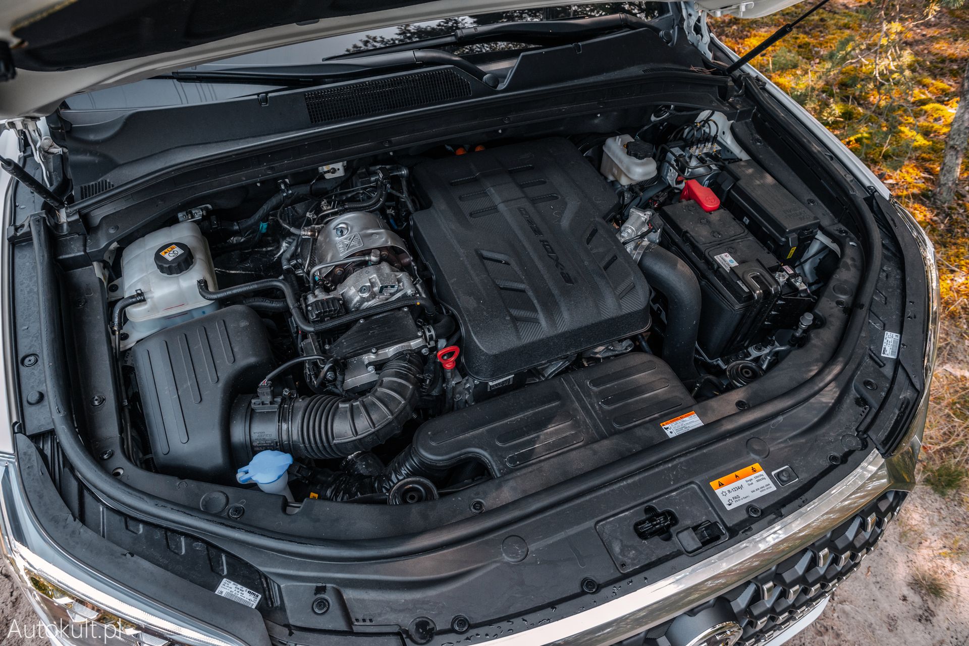 SsangYong Rexton (2021)