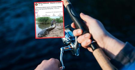 Oto co złowił w Odrze. Miał aż 252 cm