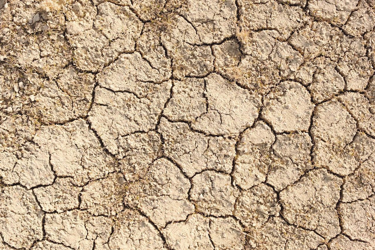 dried earth