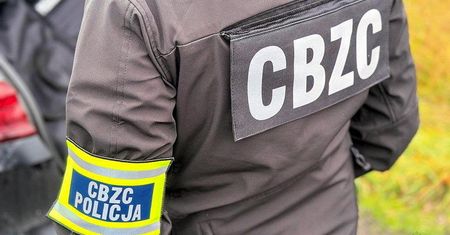 Podszywali się i uwodzili. Nigeryjscy oszuści wpadli w Polsce