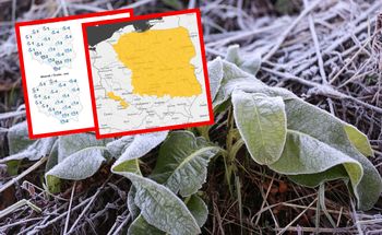 Przymrozki nie dają za wygraną. Temperatura spadnie nawet do -2 stopni