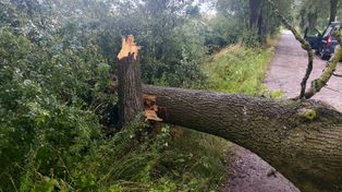 Burza w Kujawsko-Pomorskiem. Prawie 70 interwencji strażaków