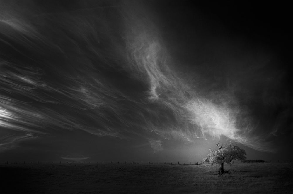 Na ile sposobów można fotografować to samo drzewo? 10