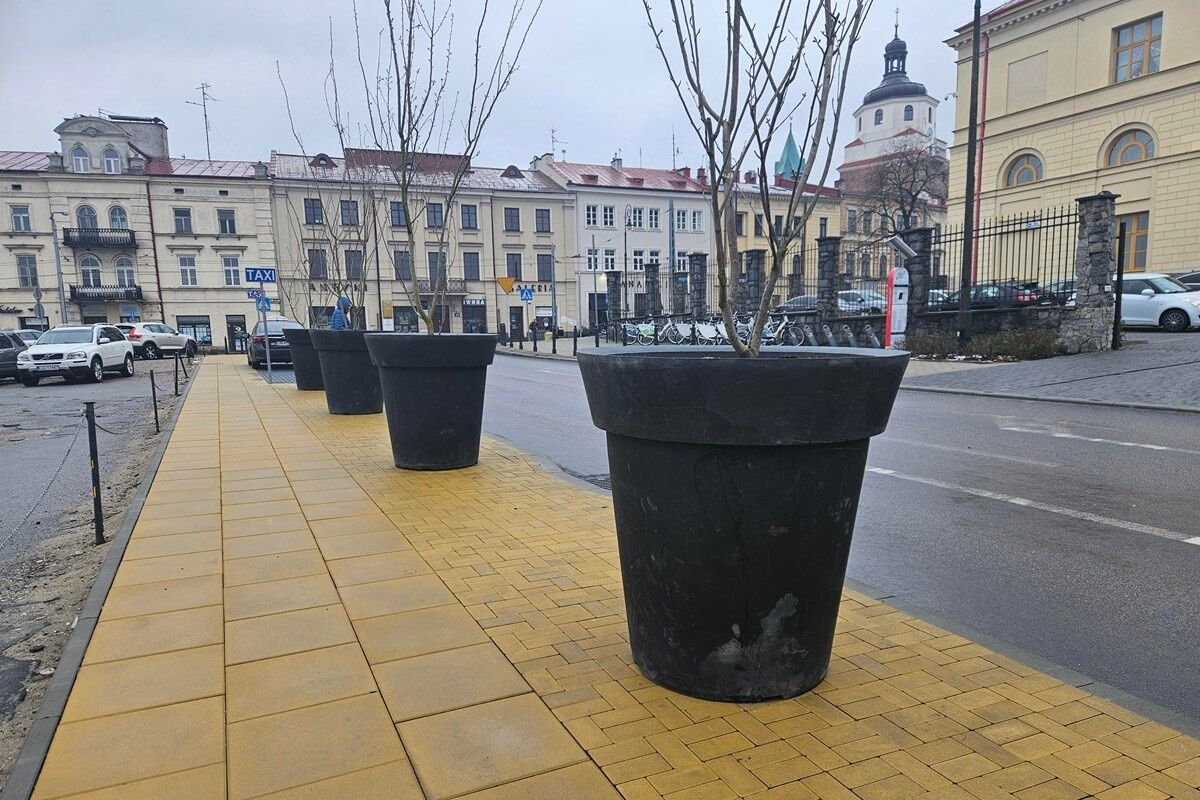 Donice z drzewami na ul. Bajkowskiego w Lublinie