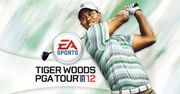 Tiger Woods PGA TOUR 12 w Google Play!
