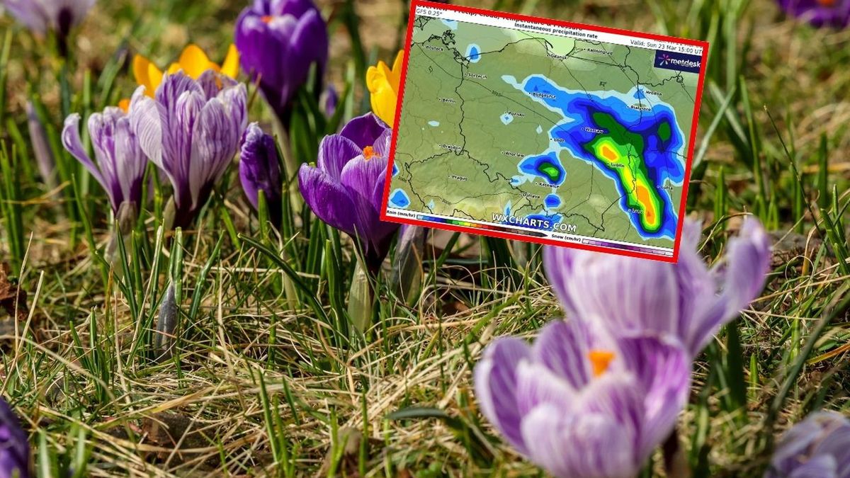 Rozpoczęła się kalendarzowa wiosna. Jest prognoza IMGW na weekend