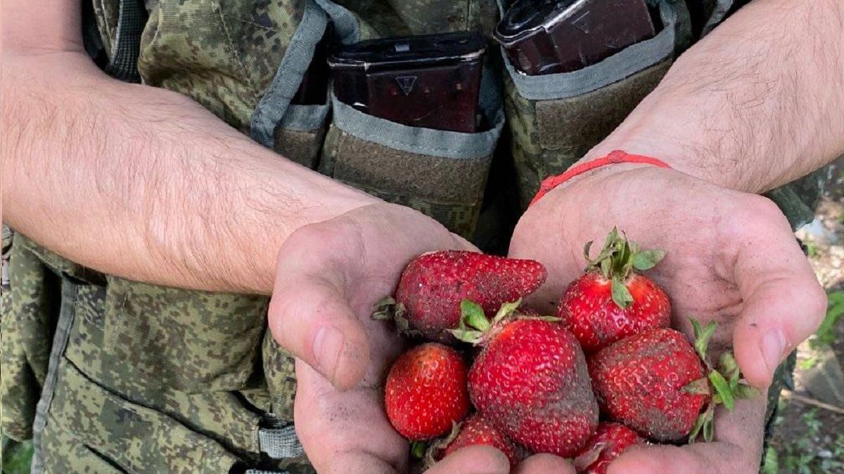 Rosjanie szukają pracy w obwodzie chersońskim 