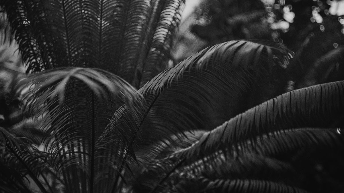 Czy naprawdę potrzebujemy sprzętu z najwyższej półki, by robić dobre zdjęcia? 1