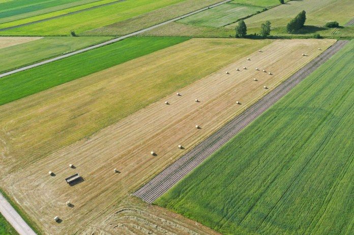 CPK a grunty zamienne dla rolników – jest światełko w tunelu?