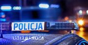 Garwolin: Rozbili szybę i okradli auto. Zaskoczył ich policyjny pies