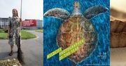 W skrócie: Chris Niedenthal w Katowicach, najlepsze zdjęcia dzikiej przyrody w Tarnowie, smakowita fotografia w Łodzi