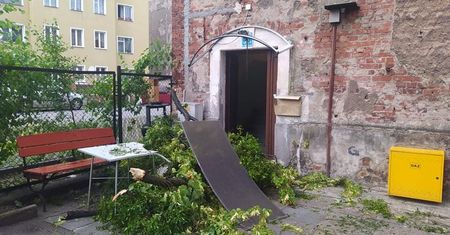 Opole. Strażacy walczyli z nawałnicami
