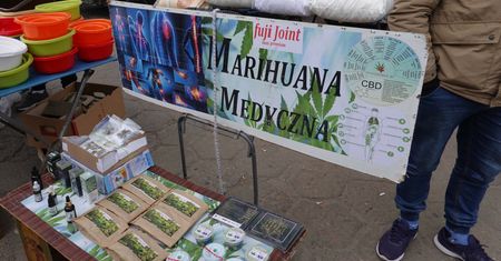 "Wolę to niż dzwonienie po dilerach". Legalizacja marihuany wprowadzana tylnymi drzwiami?