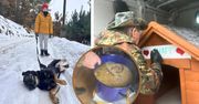 Bytów: Tutaj mieszkańcy udowadniają, że psy nie są towarem