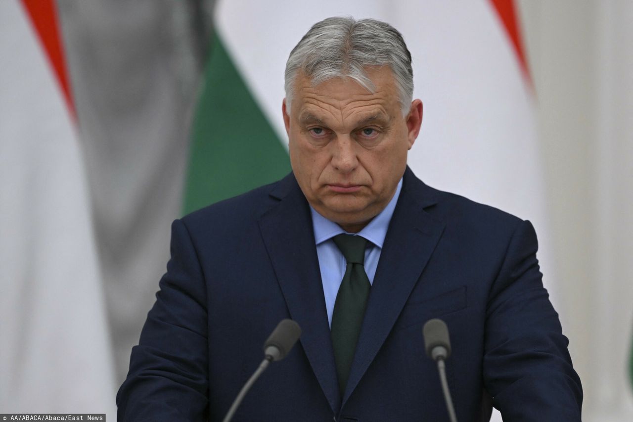 Orban’s confidential letter reveals Putin's war confidence