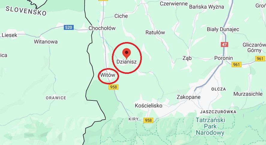 Krokusy rosną w Dzianiszu i Witowie