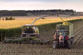 Produkty rolne drożeją w dwucyfrowym tempie. To odbije się na cenach żywności