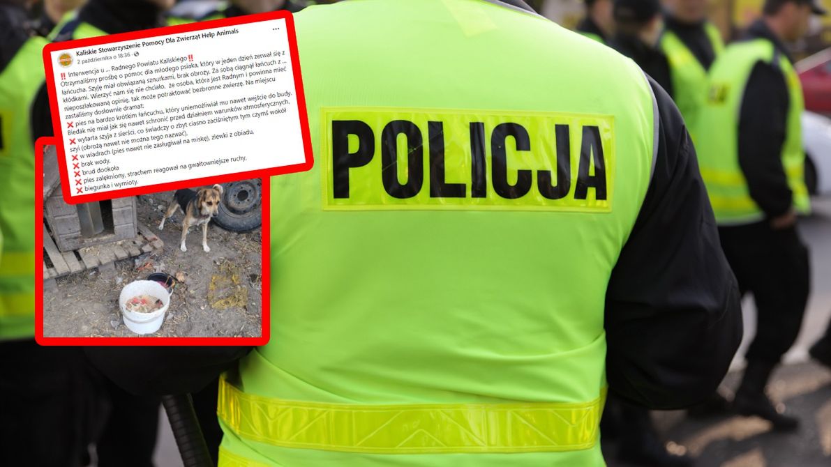 Psa zabrano z podwórka radnego