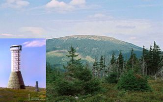 MR: W ramach tarcz do przedsiębiorców trafiło 123,27 mld zł pomocy