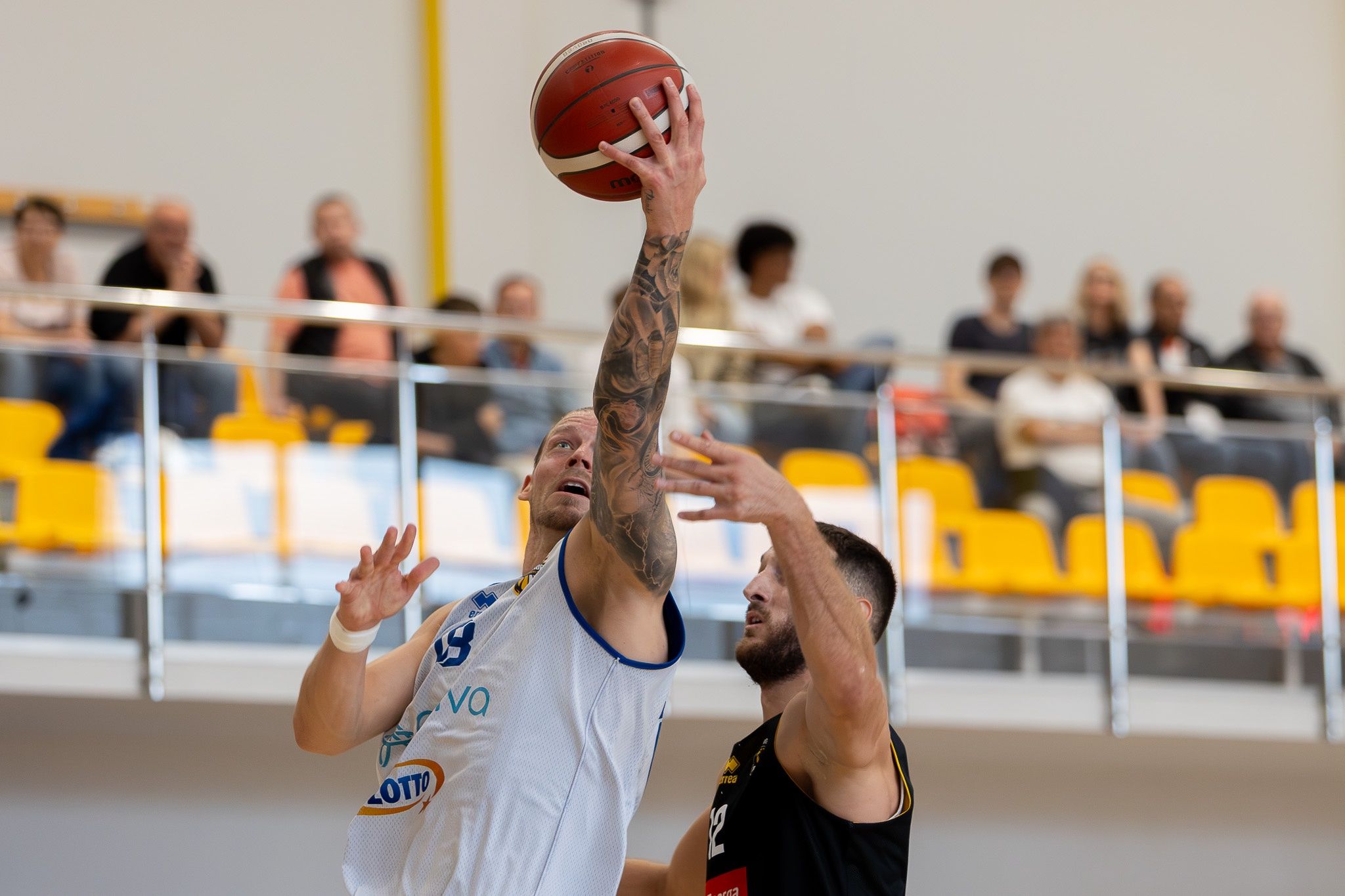 Twarde Pierniki - Trefl Sopot