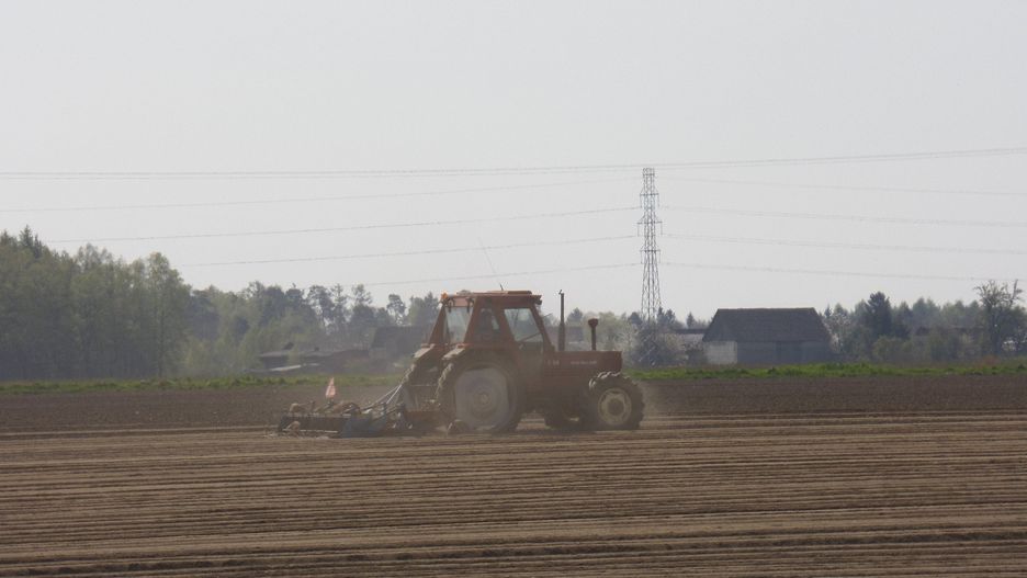 Rolnicy mogą liczyć na spore kwoty w ramch dopłat bezpośrednich i obszarowych, fot. K. Piotrkowski/Polska Press