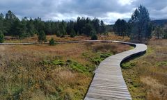 Chcą utworzenia największego parku narodowego w Europie. Ma objąć też Polskę