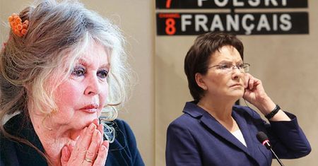 Bardot pisze do premier Kopacz! "To niegodne cywilizowanych krajów"