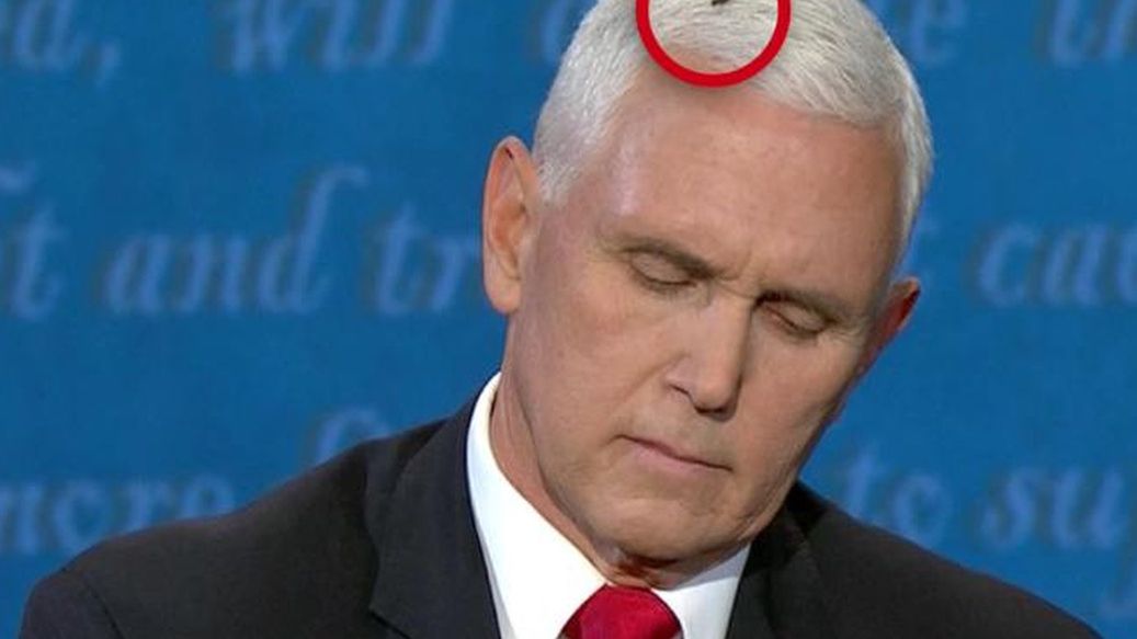 Na głowie Mike'a Pence'a usiadła mucha