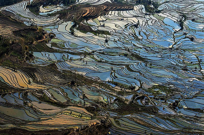 Znamy zwycięzców konkursu International Garden Photographer of the Year 2016 14