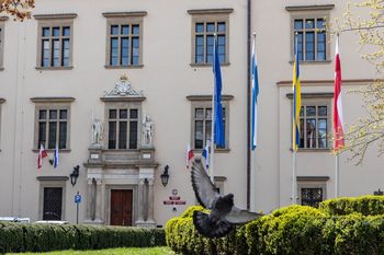 Praktyki w magistracie w Krakowie nie będą już bezpłatne. "Doceniamy pracę młodych"
