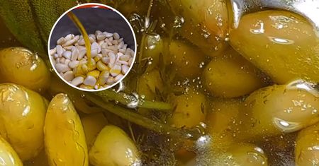 Najmodniejszy shot na wirusy. Zbija cukier, wymiata cholesterol
