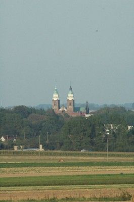 Obraz
