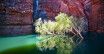 Karijini - kosmiczna atrakcja Australii
