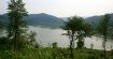 Biesy i Czady