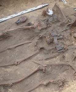 Szczątki żołnierzy z II wojny światowej. Zbiorowa mogiła przy drodze na Dolnym Śląsku