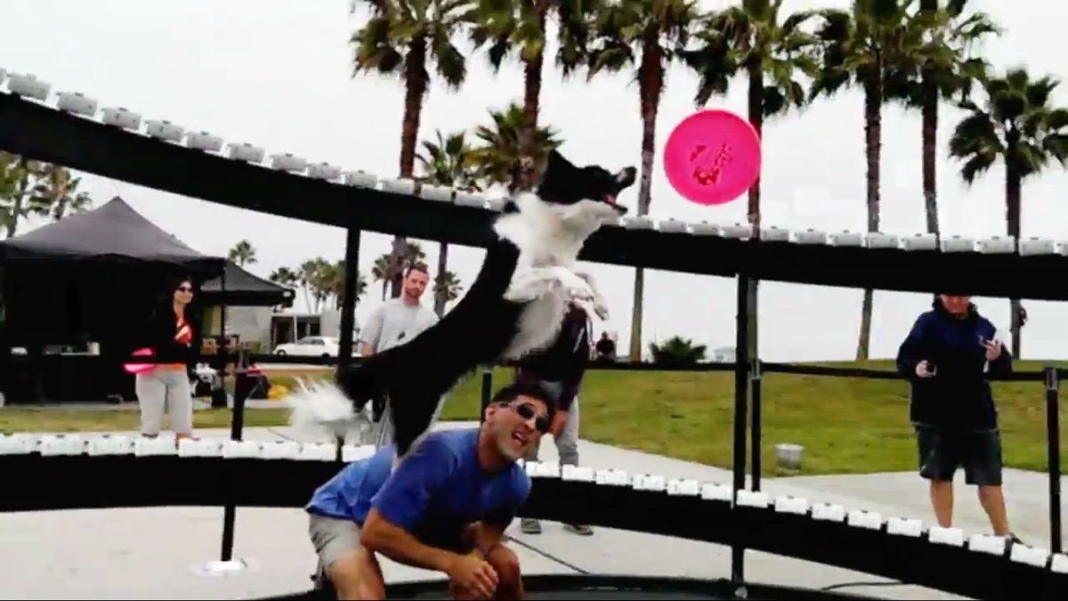 W skrócie: Nokia Guru, biały Nexus 5 i Matrix w wykonaniu Qualcomma 1