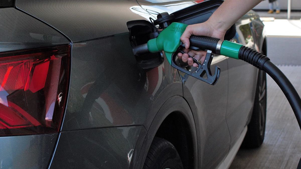 Niestety prognozy na przyszłość nie napawają optymizmem